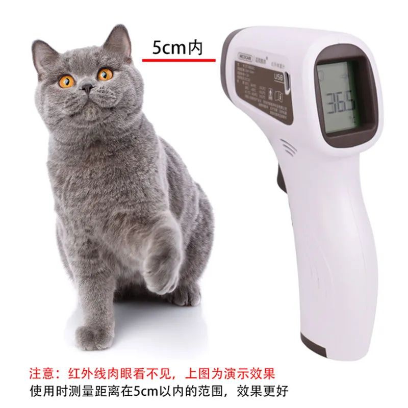 Thermometer Veterinary Equipme - Instant Read Thermometer 评论和价格