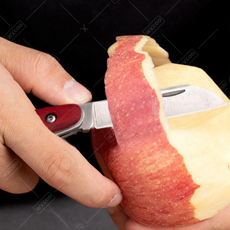 Stainless Steel Pocket Knife R - Kitchen Gadgets Products 评论和价格