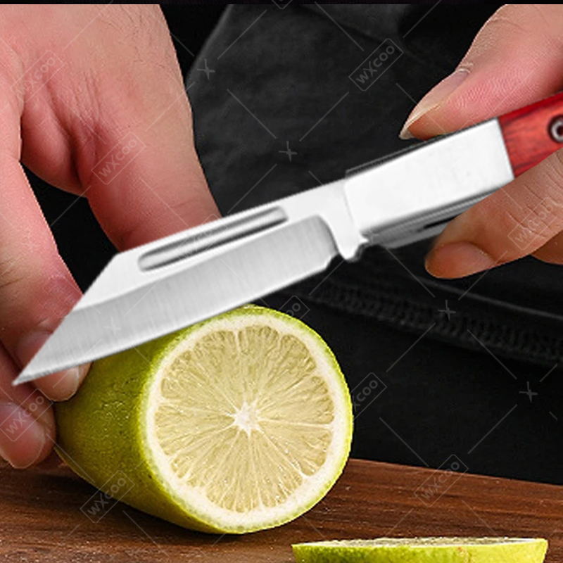 Stainless Steel Pocket Knife R - Kitchen Gadgets Products 评论和价格